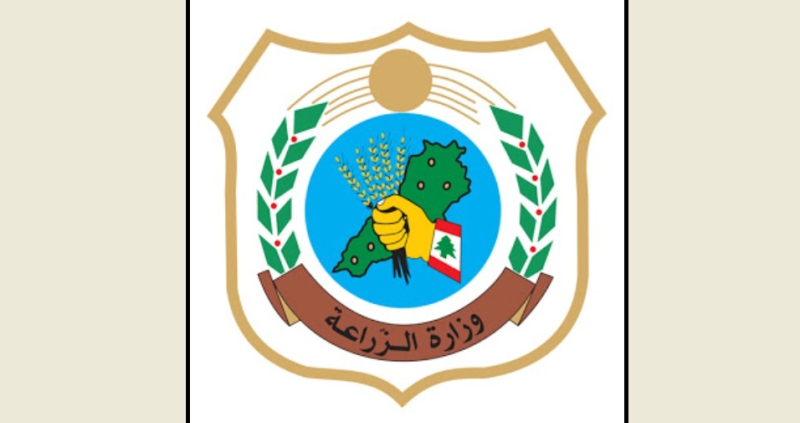 الزراعة حذرت من القطاف المبكر لأكواز الصنوبر و تشديد على الإدارة المتكاملة للآفات وحماية جودة الإنتاج اللبناني