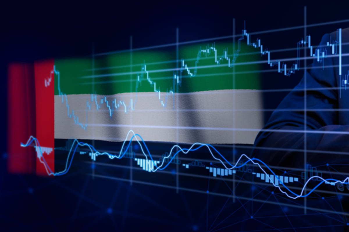 عدد الشركات المرخصة من هيئة سوق المال في الإمارات يرتفع 43 في المئة مع وصول القيمة السوقية الإجمالية لسوق أبوظبي وسوق دبي المالي إلى 1.01 تريليون دولار
