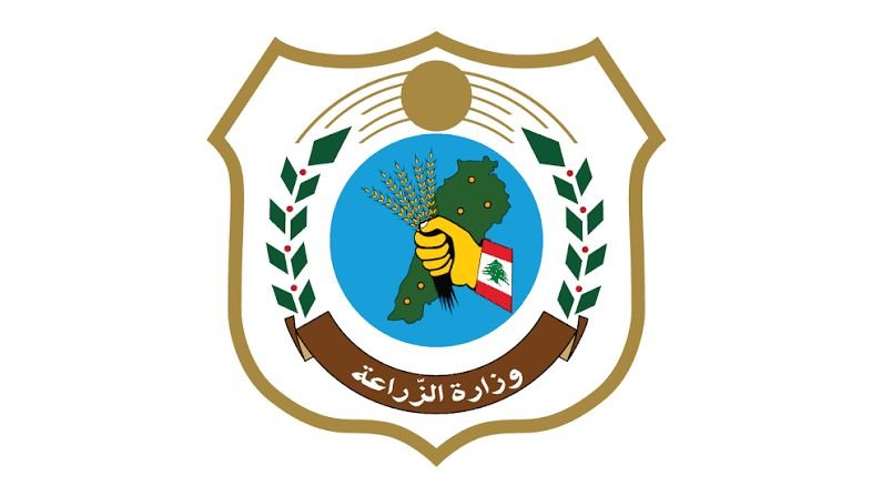 إرشادات لوزارة الزراعة عن الممارسات الجيدة لقطاف الزيتون ونقله إلى المعاصر