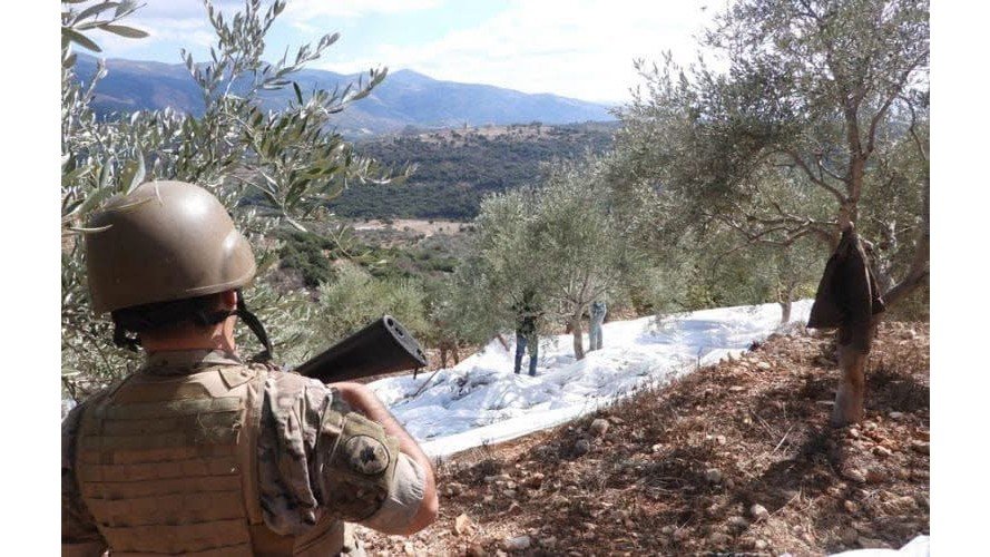 وحدات من الجيش واكبت الأهالي خلال قطف الزيتون في بلدة راشيا الفخار
